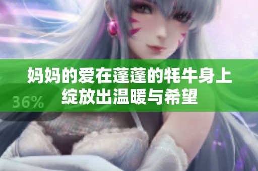 妈妈的爱在蓬蓬的牦牛身上绽放出温暖与希望