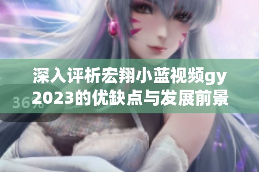 深入评析宏翔小蓝视频gy2023的优缺点与发展前景