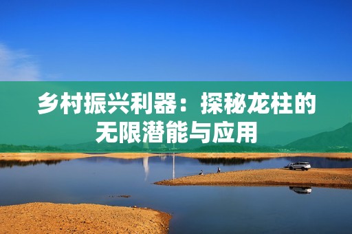 乡村振兴利器：探秘龙柱的无限潜能与应用