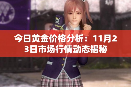 今日黄金价格分析：11月23日市场行情动态揭秘