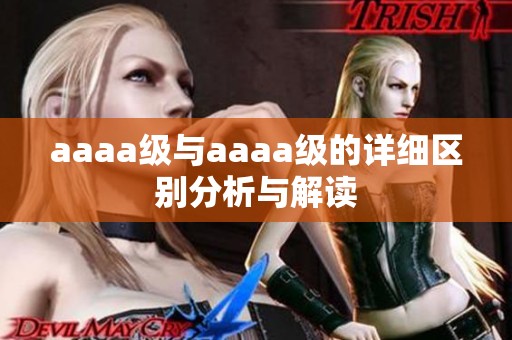 aaaa级与aaaa级的详细区别分析与解读