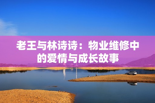 老王与林诗诗：物业维修中的爱情与成长故事