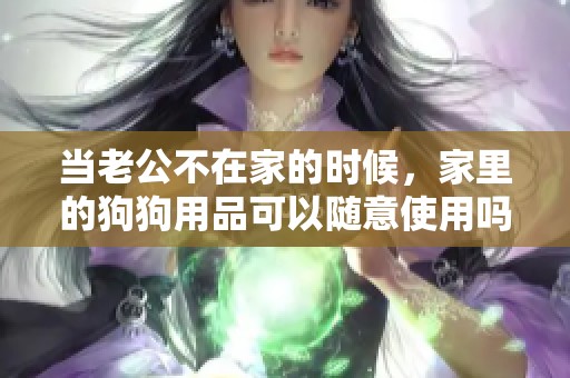 当老公不在家的时候，家里的狗狗用品可以随意使用吗