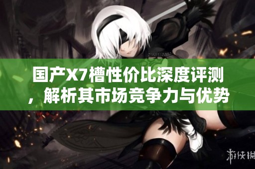 国产X7槽性价比深度评测，解析其市场竞争力与优势