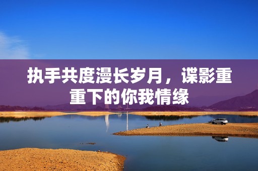 执手共度漫长岁月，谍影重重下的你我情缘