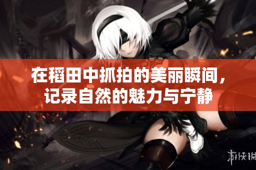 在稻田中抓拍的美丽瞬间，记录自然的魅力与宁静