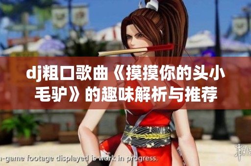 dj粗口歌曲《摸摸你的头小毛驴》的趣味解析与推荐
