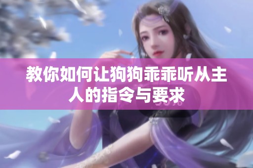 教你如何让狗狗乖乖听从主人的指令与要求