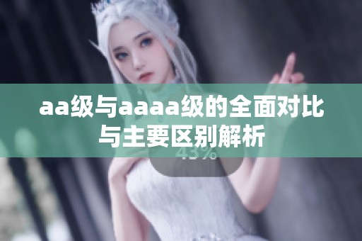aa级与aaaa级的全面对比与主要区别解析