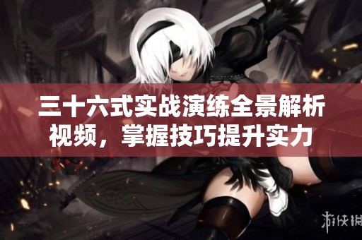 三十六式实战演练全景解析视频，掌握技巧提升实力