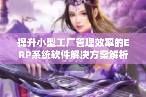 提升小型工厂管理效率的ERP系统软件解决方案解析