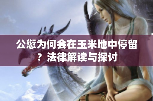 公愆为何会在玉米地中停留？法律解读与探讨
