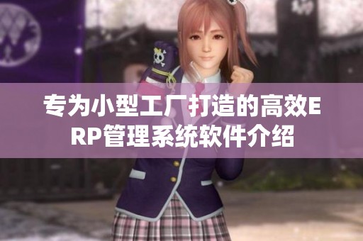 专为小型工厂打造的高效ERP管理系统软件介绍
