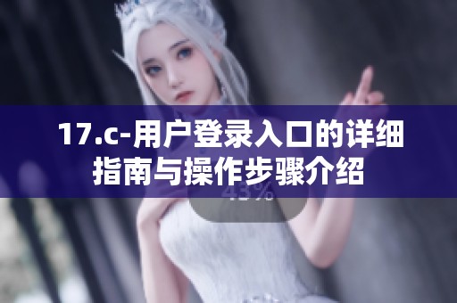 17.c-用户登录入口的详细指南与操作步骤介绍