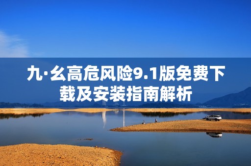 九·幺高危风险9.1版免费下载及安装指南解析