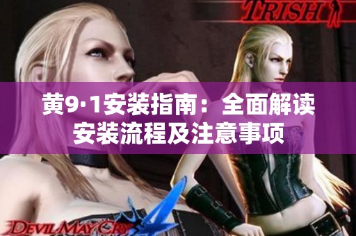 黄9·1安装指南：全面解读安装流程及注意事项