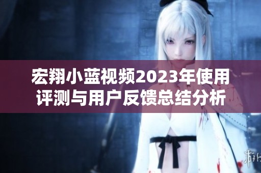 宏翔小蓝视频2023年使用评测与用户反馈总结分析