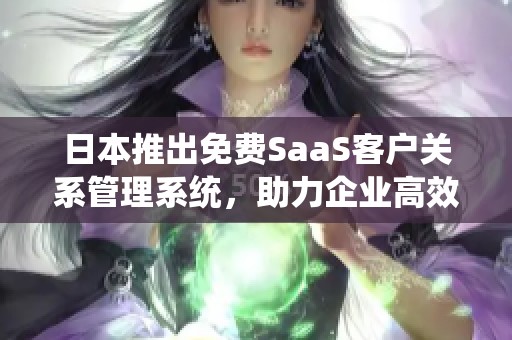 日本推出免费SaaS客户关系管理系统，助力企业高效运营