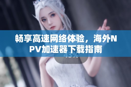 畅享高速网络体验，海外NPV加速器下载指南