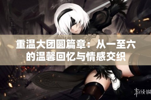 重温大团圆篇章：从一至六的温馨回忆与情感交织