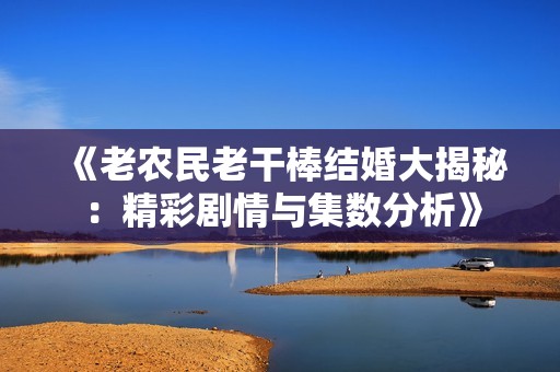 《老农民老干棒结婚大揭秘：精彩剧情与集数分析》