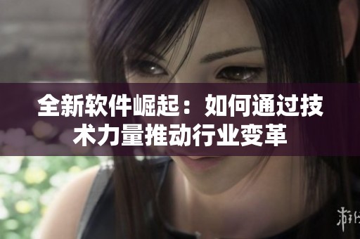全新软件崛起：如何通过技术力量推动行业变革