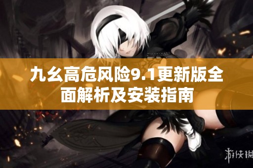 九幺高危风险9.1更新版全面解析及安装指南
