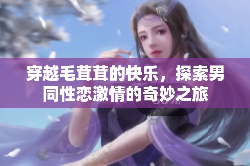 穿越毛茸茸的快乐，探索男同性恋激情的奇妙之旅