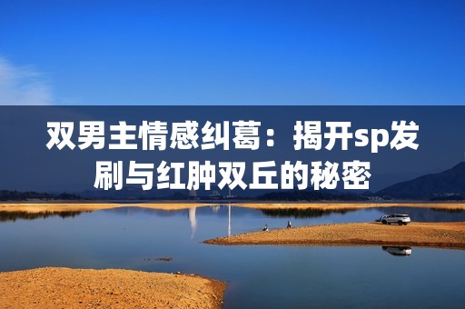 双男主情感纠葛：揭开sp发刷与红肿双丘的秘密