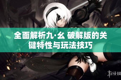 全面解析九·幺 破解版的关键特性与玩法技巧
