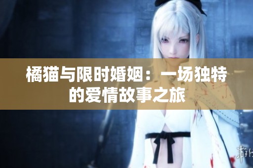 橘猫与限时婚姻：一场独特的爱情故事之旅
