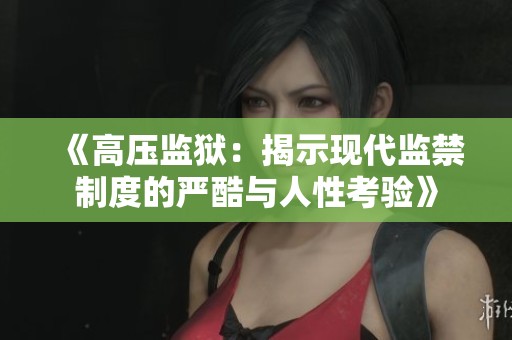 《高压监狱：揭示现代监禁制度的严酷与人性考验》