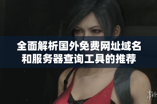 全面解析国外免费网址域名和服务器查询工具的推荐