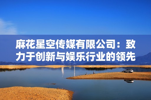 麻花星空传媒有限公司：致力于创新与娱乐行业的领先者