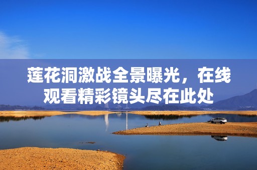 莲花洞激战全景曝光，在线观看精彩镜头尽在此处
