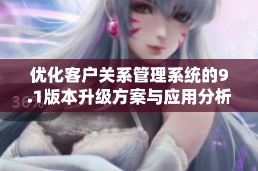 优化客户关系管理系统的9.1版本升级方案与应用分析