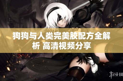 狗狗与人类完美胶配方全解析 高清视频分享
