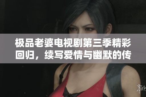 极品老婆电视剧第三季精彩回归，续写爱情与幽默的传奇故事