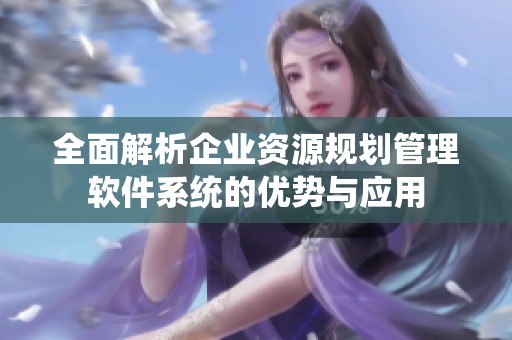 全面解析企业资源规划管理软件系统的优势与应用