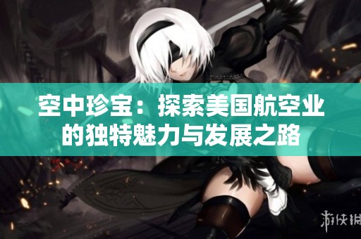 空中珍宝：探索美国航空业的独特魅力与发展之路