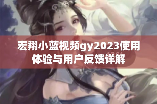 宏翔小蓝视频gy2023使用体验与用户反馈详解