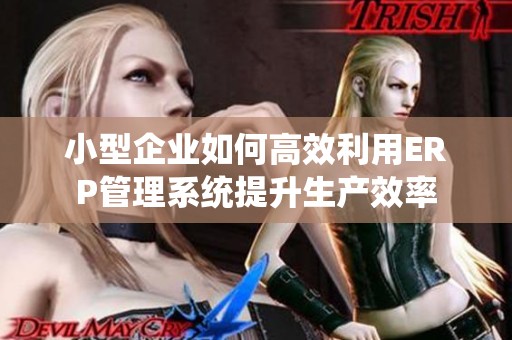 小型企业如何高效利用ERP管理系统提升生产效率