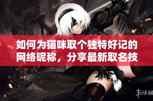 如何为猫咪取个独特好记的网络昵称，分享最新取名技巧