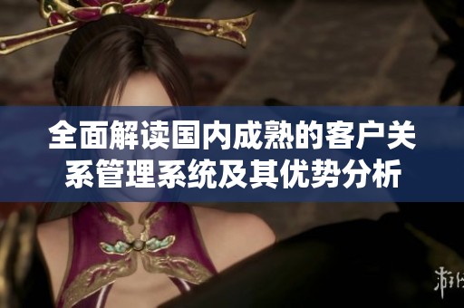 全面解读国内成熟的客户关系管理系统及其优势分析