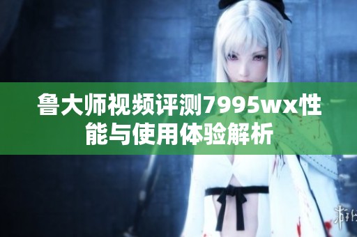 鲁大师视频评测7995wx性能与使用体验解析
