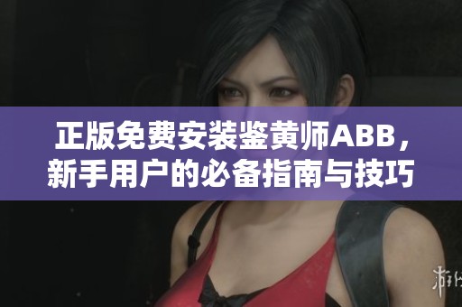 正版免费安装鉴黄师ABB，新手用户的必备指南与技巧分享