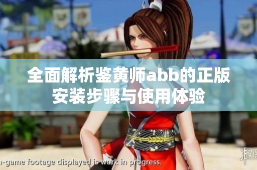 全面解析鉴黄师abb的正版安装步骤与使用体验