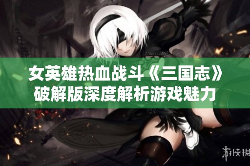 女英雄热血战斗《三国志》破解版深度解析游戏魅力