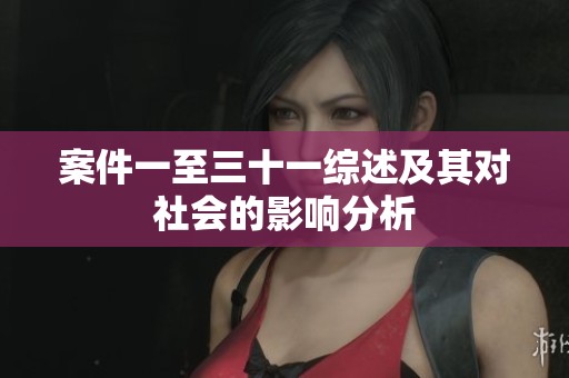 案件一至三十一综述及其对社会的影响分析
