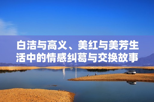 白洁与高义、美红与美芳生活中的情感纠葛与交换故事